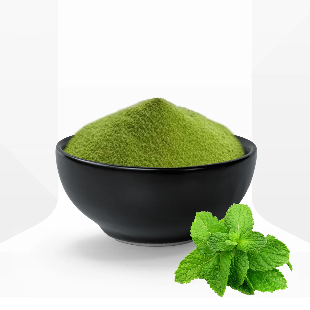 Mint Powder (पुदीना पाउडर)